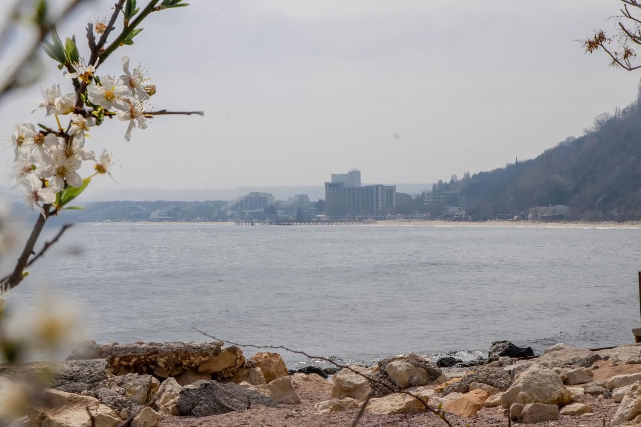 Villa Nora 알베나 외부 사진